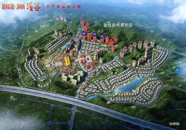 碧桂园服务26年,每一步都算数