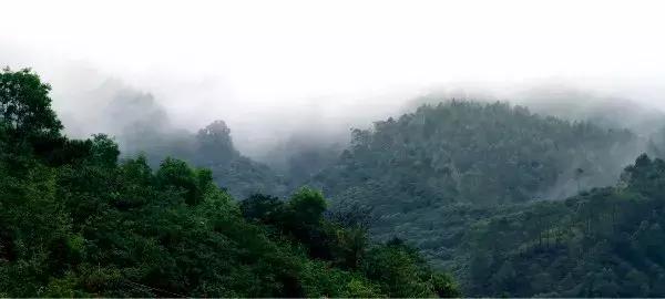 凡世上的豪宅都近于山碧桂园润扬溪谷——10万亩原生林海豪宅!