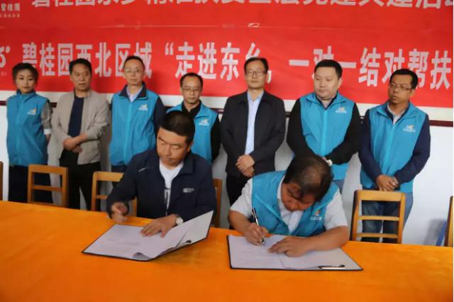 碧桂园走进东乡,强党建,促脱贫