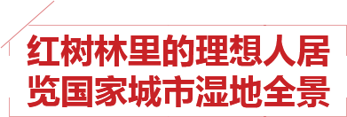 ̫